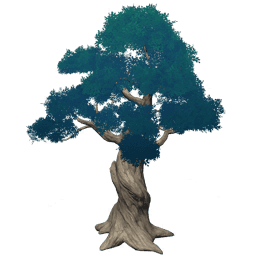 Зелёный долгожитель