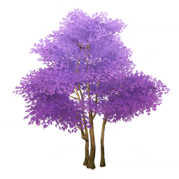 Робкий румянец нежного цветенья