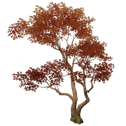 Перелётные птицы