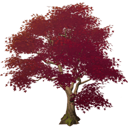 Сплетение саппана и киновари