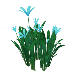 «Морские бабочки»