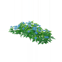 Цветущий кустарник: В тумане гавани