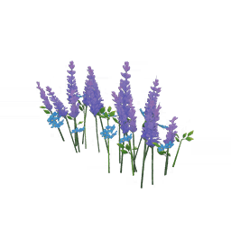 «Мирный пурпурный сон»