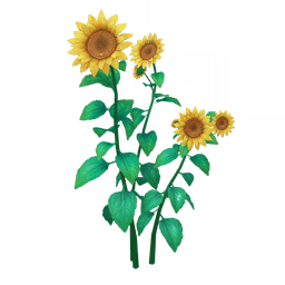 «Подсолнечная акварель»