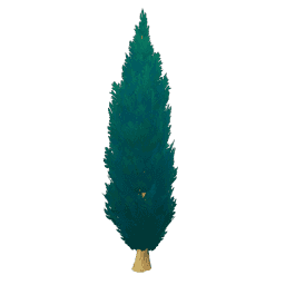 Уличное дерево: Тип I