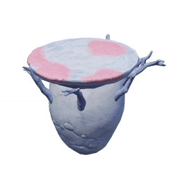 «Высокая каменная платформа»