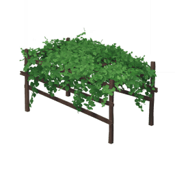 Пышная виноградная лоза