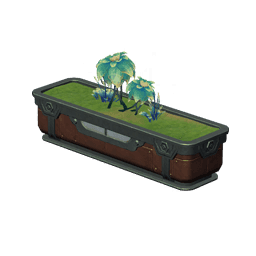 Пышное цветение