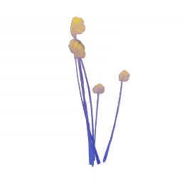Качающееся мерцающее сияние