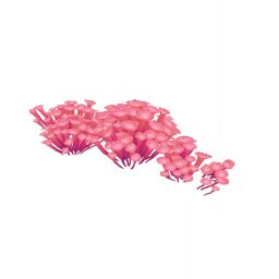 Нежный шёпот