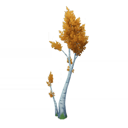 Дерево штормового дозора