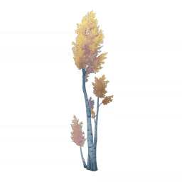 Дерево лунного сияния