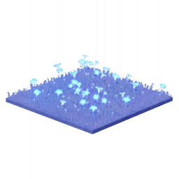 Отражённые в воде звёзды