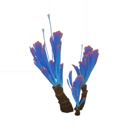 Волшебство волны