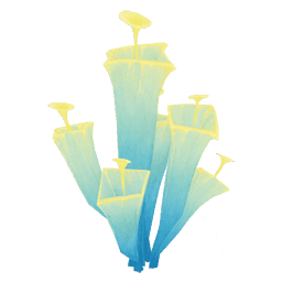 Мрачный гриб