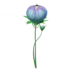 Сон об одуванчиках и волчьих крюках