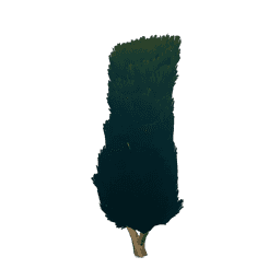 Ландшафтная изгородь: Пышная зелень