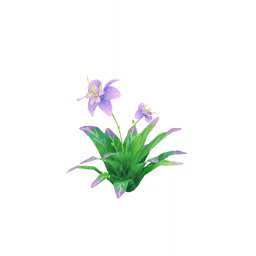 Чудо в лесном уголке