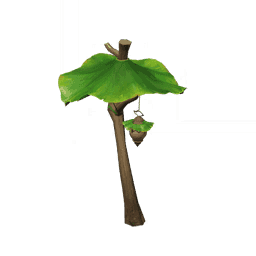 Сладостное сияние