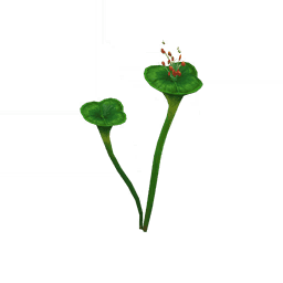 Иная сладость