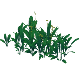 Благодатный берег