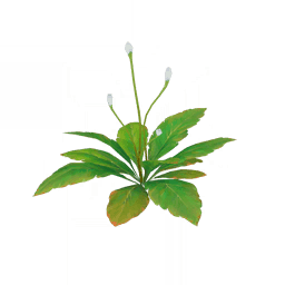 Пламенеющая лазурь