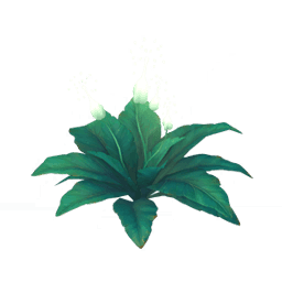 Концентрированный алебастр