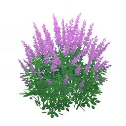 Долгий диэлектрик