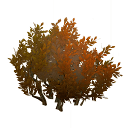 Подобно предзнаменованию рассвета