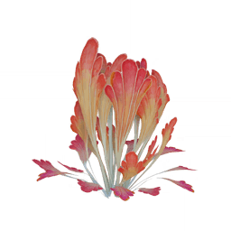 Подобно сгущающемуся закату