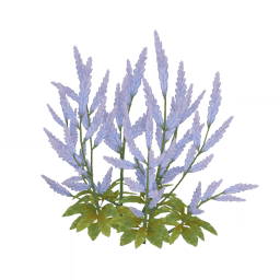 Спящие благоухающие ветви