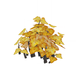 Упругие жилки листьев