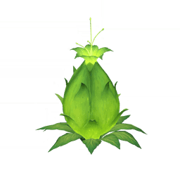 Плод цветочных вод