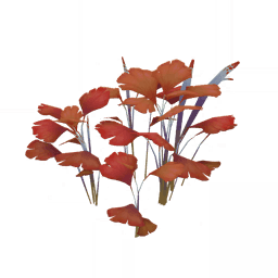 Отражение заката