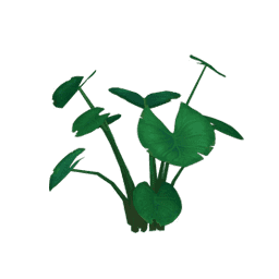 Зонт из капель росы