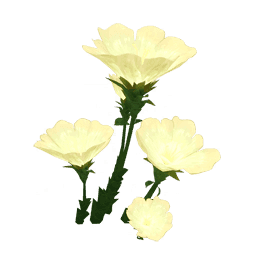 Чаша чистоты