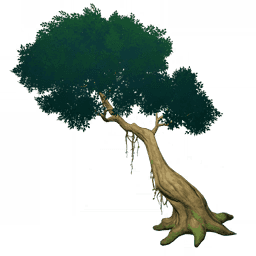 Наклонённое бродячее дерево