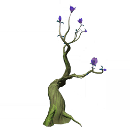 Укромные ветви гибискуса