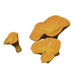 Жёлтый листовик