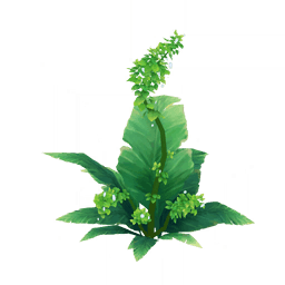 Зелёные листья на ветерке