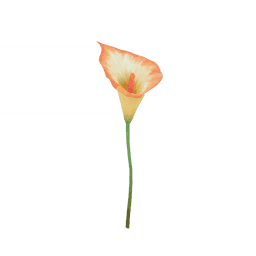 Коричневый вихрь