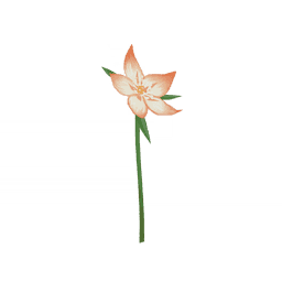 Нефритовое лисье ухо