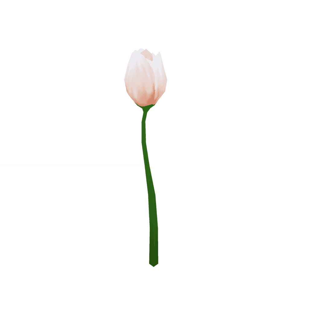 Тени заката