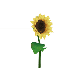 Зеркало солнца