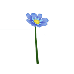 Сердечное кольцо