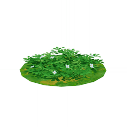 Пышное цветение