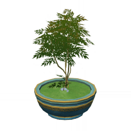 Горшочное растение: Хрупкое долголетие