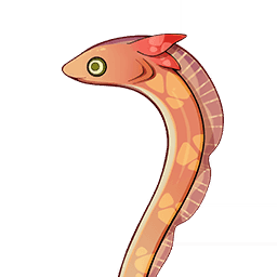 Краснопёрый унаги