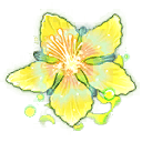 Цветок вечности