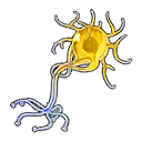 Росток осознания